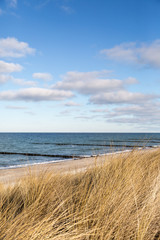 Fototapeta na wymiar Dünengras weht im Wind, im Hintergrund das Meer mit Holzpfählen