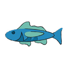 Fish of animal sea life and ecosystem theme Isolated design Vector illustration
