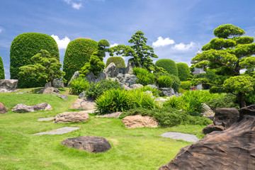 Fototapeta na wymiar Beautiful garden in the ecotourism is designed in harmony with many cypress, pine, stone and ancient trees bearing the traditional culture of traditional Japanese gardens.