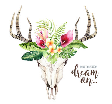 Watercolor bohemian cow skull and tropic palm leaves. Western deer mammals. Tropical deer boho decoration print antlers. flowers, leaves feathers. Isolated on white background. Aloha design.