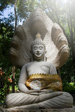 Buddha statue and soft light