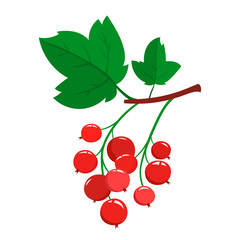 Cartoon red currant berries with green leaves isolated on white