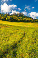 The ruins of a medieval castle Lietava on a rocky blade over a wooded landscape and grassy meadows, nearby Zilina town, Slovakia, Europe.