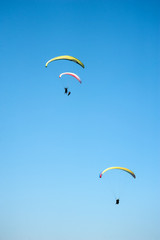 Paragliding in the blue sunny sky. Three paraglider fly in summer sunny day. Carpathians, Ukraine.