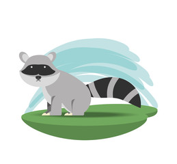 raccoon icon over white background colorful design vector illustration
