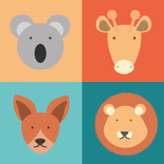 wild animals icons over colorful squares vector illustration