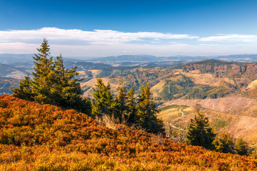 Autumn mountainous landscape with spruce trees in the foreground, region Kysuce in Slovakia, Europe.