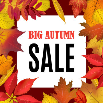 Big Autumn Sale banner template with fall leaves border frame. Shop market poster for your autumn background. Vector illustration