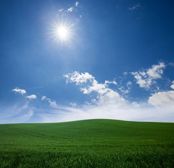 Fototapeta na wymiar Green grass lawn and blue sunny sky