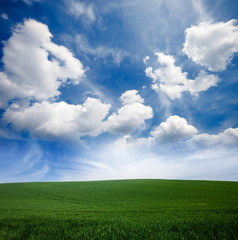 Fototapeta na wymiar Green grass lawn and blue cloudy sky