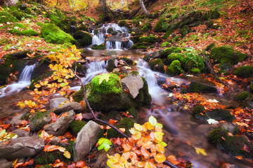 Waterfall in colorful autumn forest