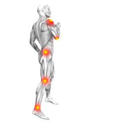 Conceptual human muscle anatomy with red and yellow hot spot inflammation or articular joint pain for health care therapy or sport concepts. 3D illustration man arthritis or bone osteoporosis disease