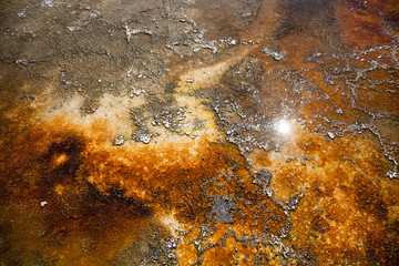 Yellowstone National Park