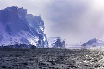 Winter in Greenland - 170263512