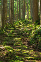 熊野古道・大雲取越