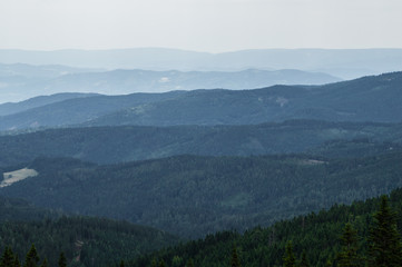 The rolling hills of south Styria