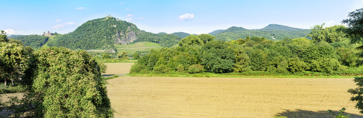 Fototapeta na wymiar Panoramblick über das Rheintal zum Siebengebirge