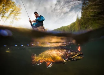Wall murals Fishing Fishing. Fisherman and trout, underwater view