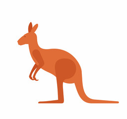 Kangaroo