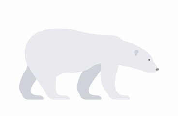 Polar bear