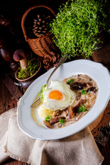 Forest mushroom sauce with fresh mushrooms, potato and poached egg