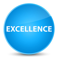 Excellence elegant cyan blue round button