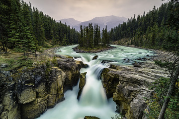 Fototapeta premium Sunwapta Falls