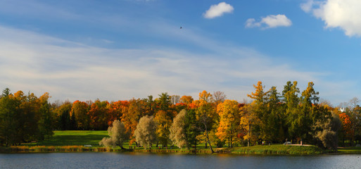 Panorama of the autumn park