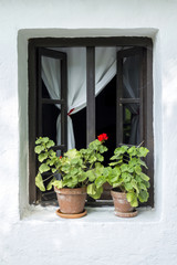 Fototapeta na wymiar Window with geranium