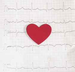 electrocardiogram on white background