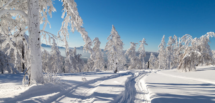 Fototapeta Winter in the mountains