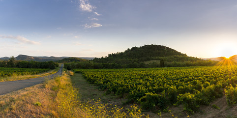Sunset in the South of France