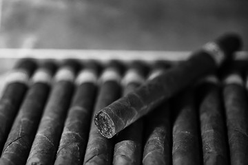 monochrome photo of large wooden box of cigars handmade Cuban