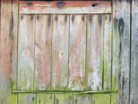 faded weathered planks on a rustic shed or farmhouse barn or outbuilding with green moss and traces of old red paint