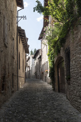 Fototapeta na wymiar Castell'Arquato (Piacenza, Italy), historic city