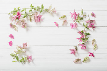 Sage decorative on white wooden background