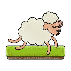 Sheep running cartoon icon vector illustration graphic design
