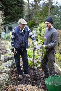 Two men working in garden, Bournemouth, County Dorset, UK, Europe