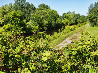 trail along The Erie Canal