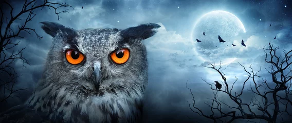Wall murals Owl Angry Eagle Owl At Moonlight In The Spooky Forest - Halloween Scene  