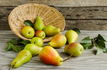 Lot of ripe pears spilled out of a basket