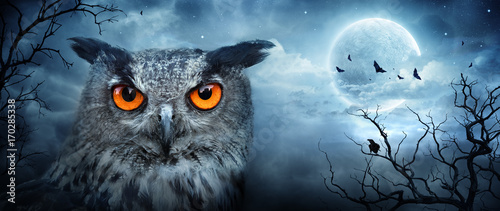 Angry Eagle Owl At Moonlight In The Spooky Forest - Halloween Scene