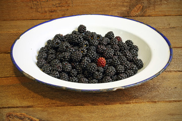 blackberries on porcelain plate on wood
