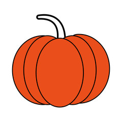 Pumpkin fresh vegetable icon vector illustration graphic design