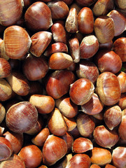 chestnuts