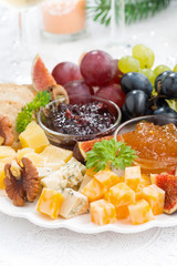 delicious cheese and fruit plate to the holiday, vertical