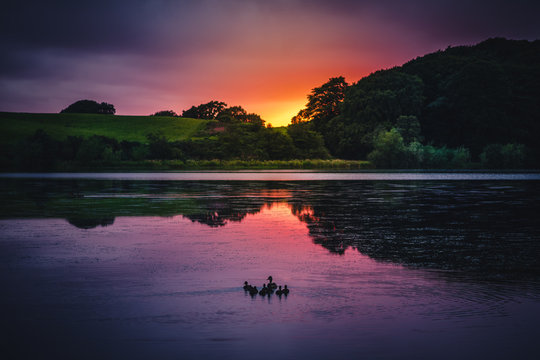 Sunset and ducks on lake