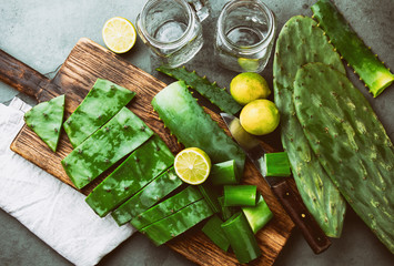 Preparation of cactus smoothie. Healthy cactus nopales, aloe vera and lemon detox drink. Top view © lblinova