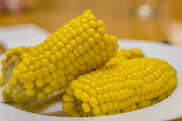 Close up of a plate of cooked sweet corn. Shallow depth of focus.