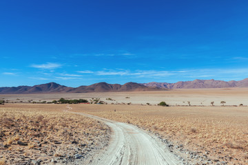 Namibia desert , Veld, Namib 